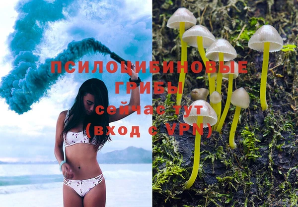 трава Алексеевка