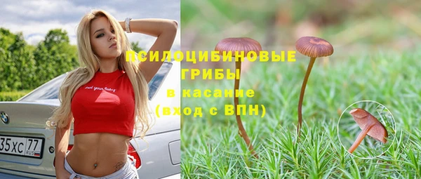 трава Алексеевка