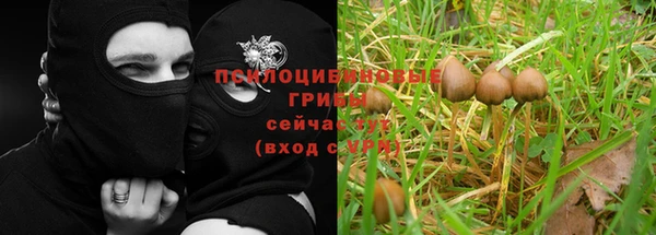 трава Алексеевка