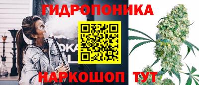 шишки Жуковский