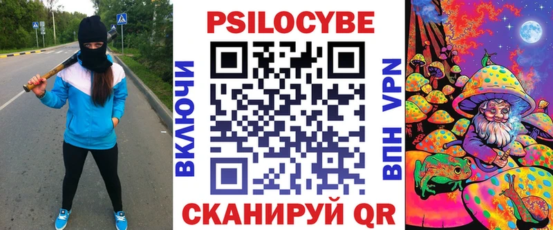 MEGA   Лесосибирск  Галлюциногенные грибы Psilocybine cubensis 