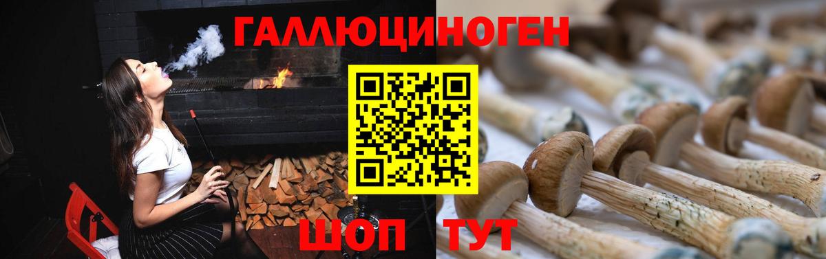 Галлюциногенные грибы MAGIC MUSHROOMS  Вход с VPN  Лесосибирск 